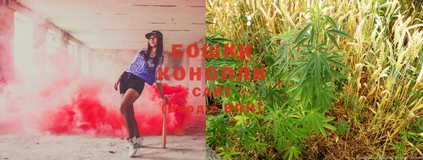 индика Верхнеуральск