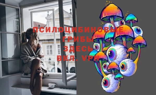 индика Верхнеуральск