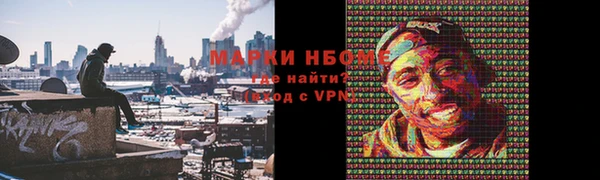 индика Верхнеуральск