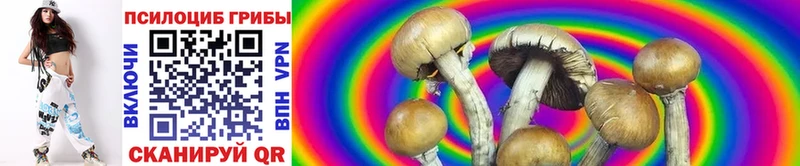 дарнет шоп  Юрюзань  Псилоцибиновые грибы MAGIC MUSHROOMS 